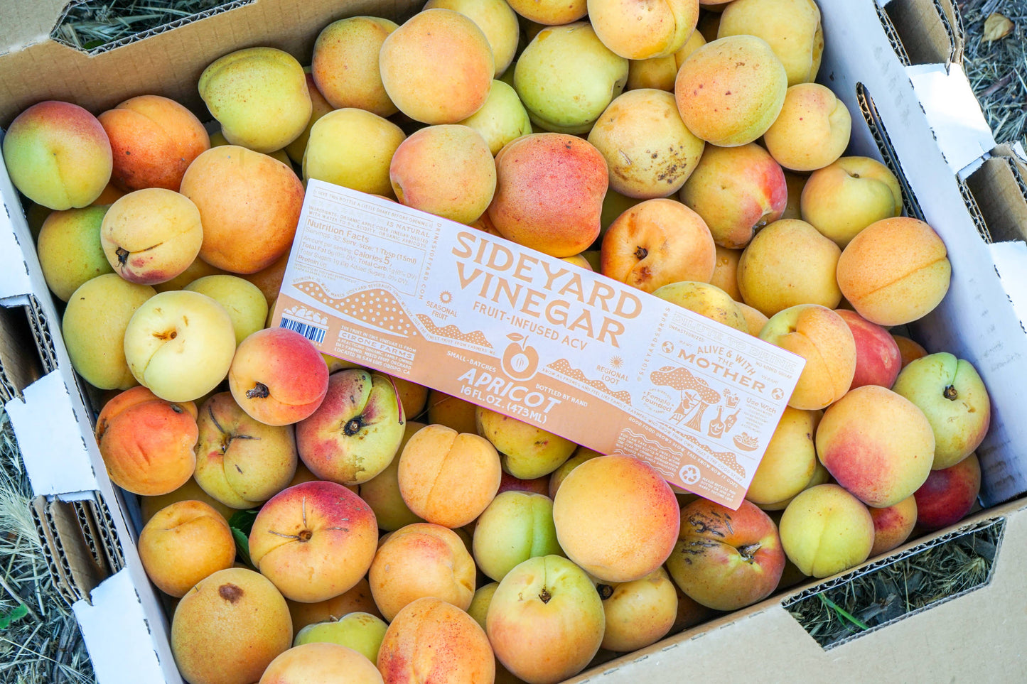 Apricot Fruit-Infused Vinegar