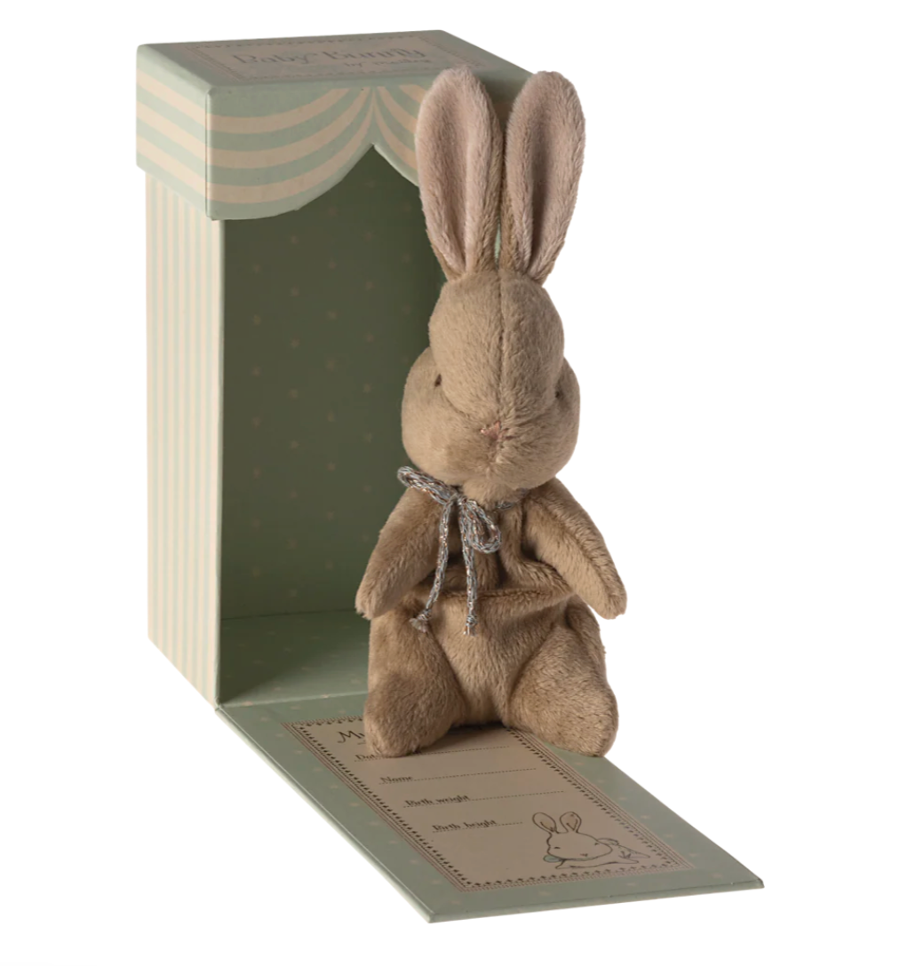 My first bunny - Brown