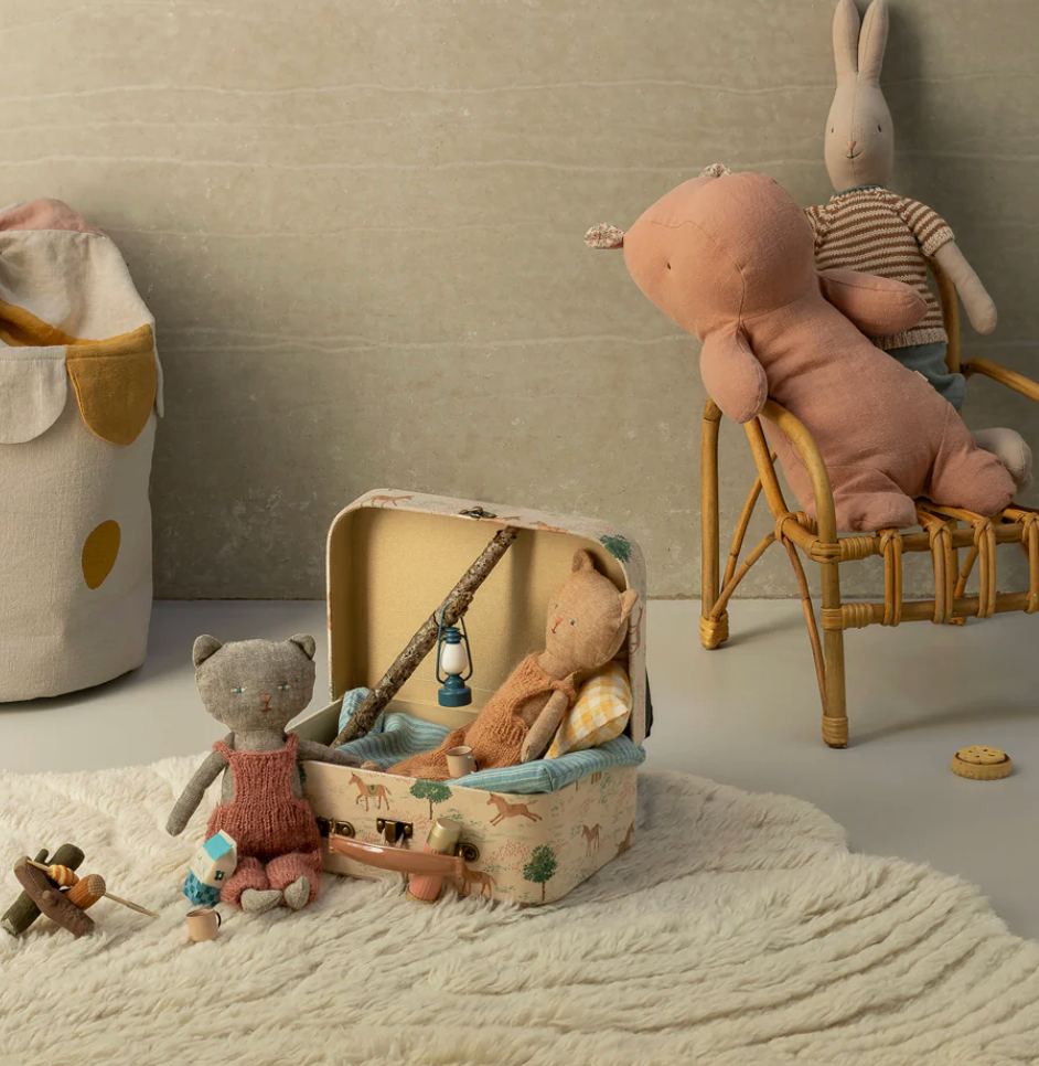 Chatons, Kitten - Grey