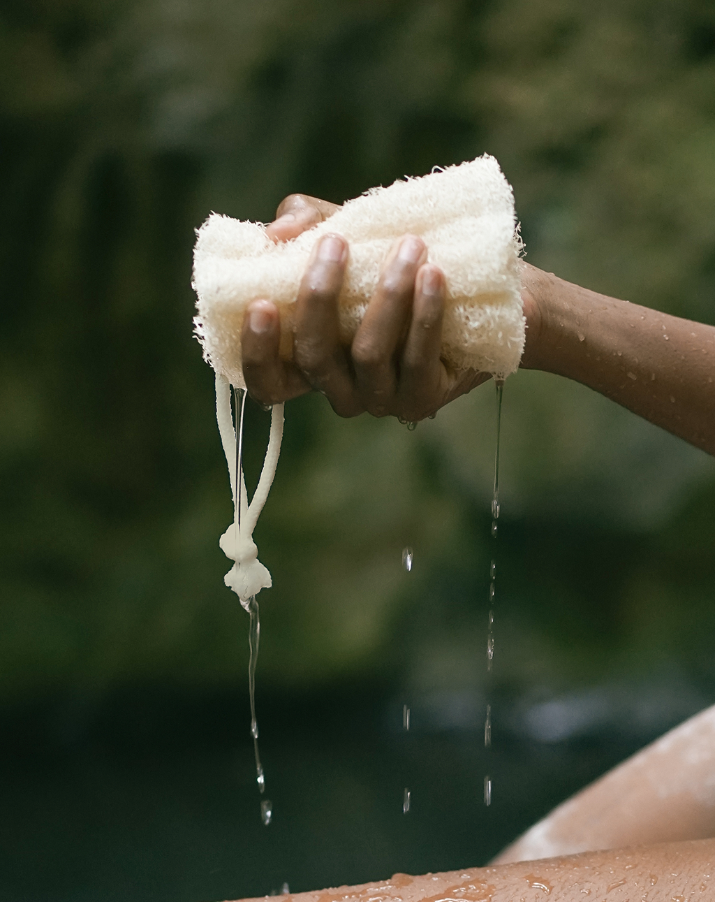 Central coast Luffa