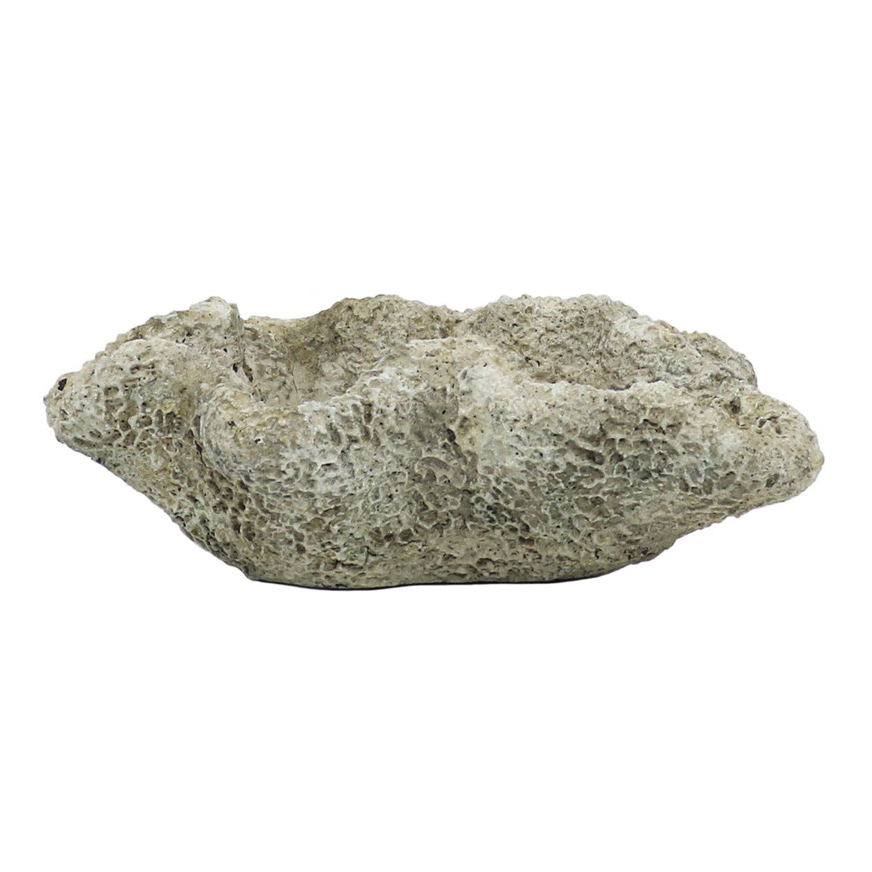 Cast Concrete Coral Planter: Long