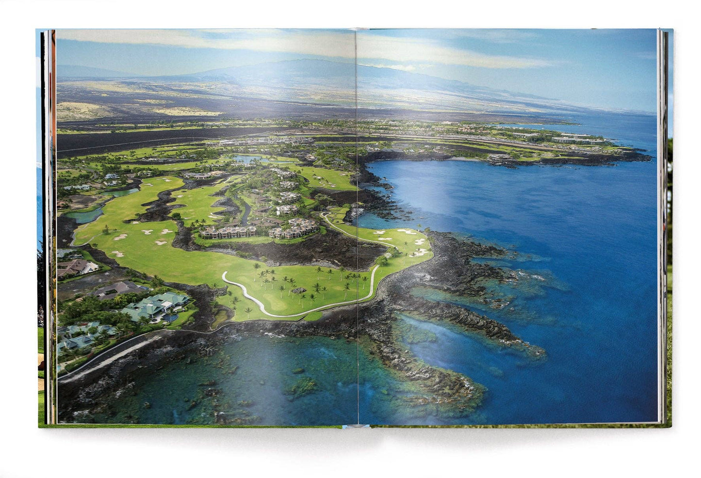 The Stylish Life: Golf