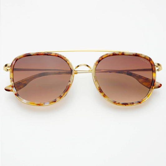 Weston Acetate Round Sunglasses : Brown Pearl