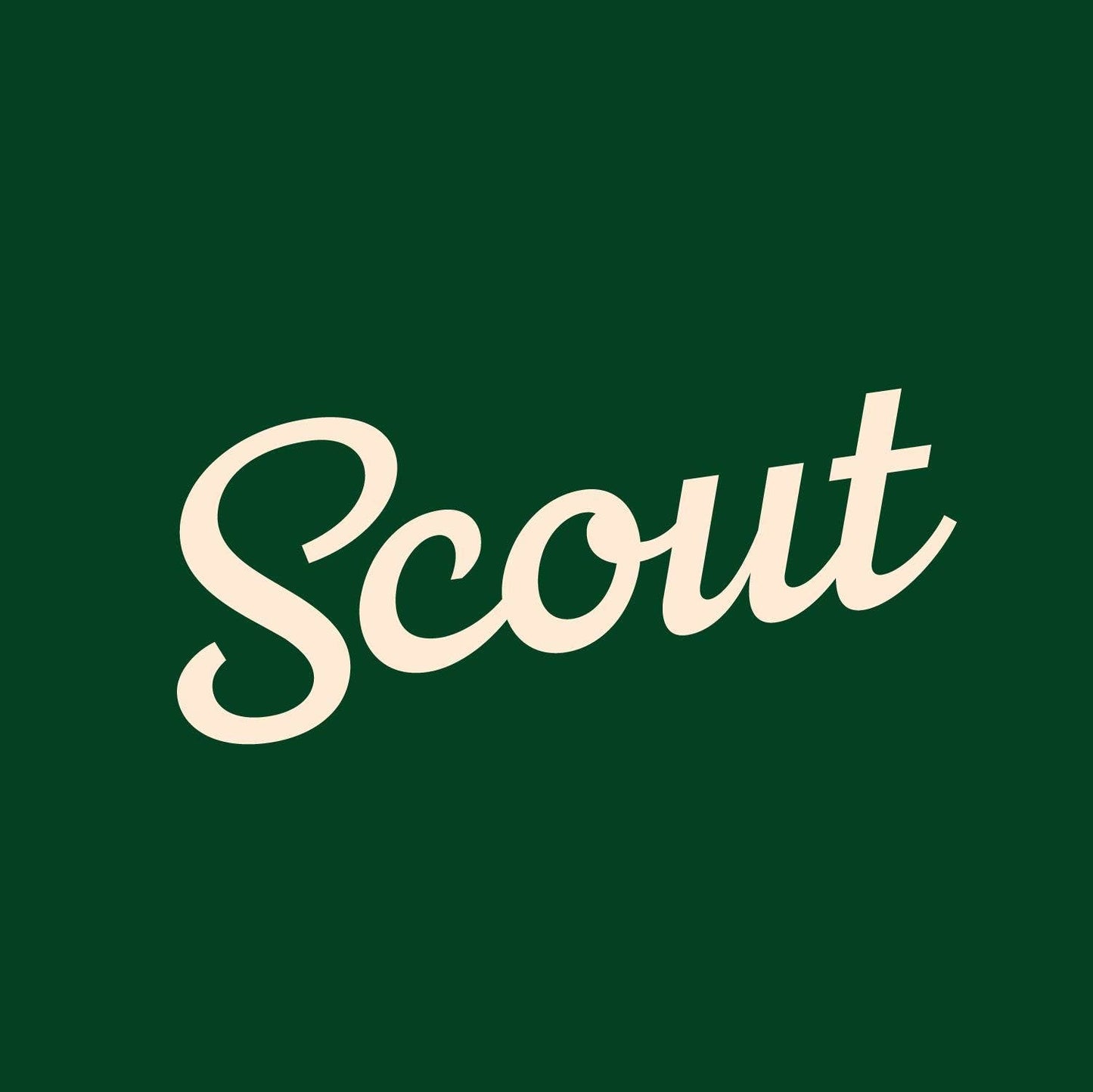 Scout Mustard Dipping Sauce & Spread