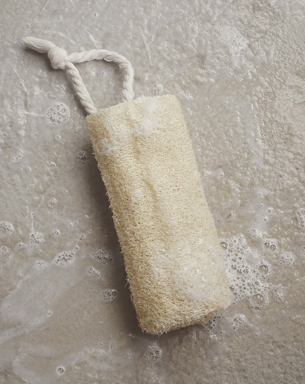 Central coast Luffa