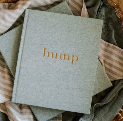 Bump Journal - Seafoam