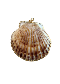Scallop Shell Charm - Brown Hue