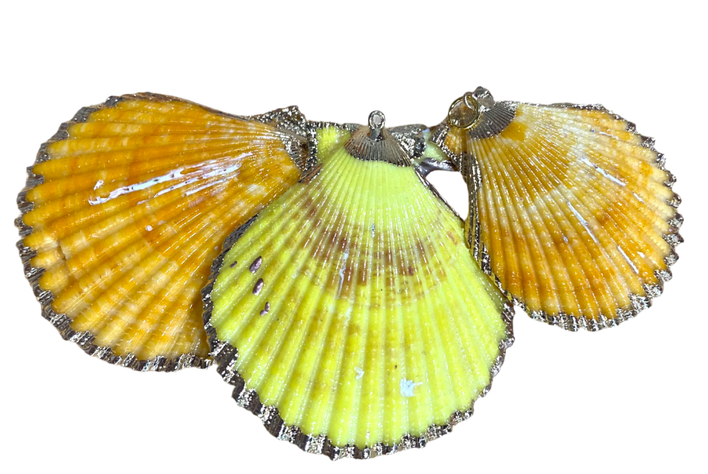 Scallop Shell Charm - Citron