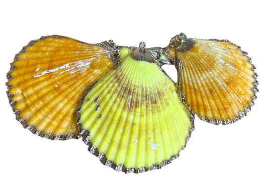 Scallop Shell Charm - Citron