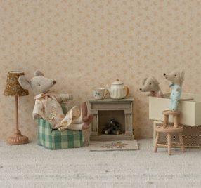 Twins, Baby mice in matchbox