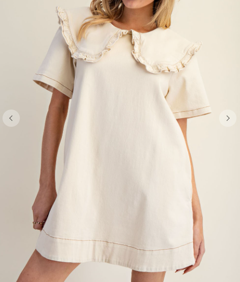 Solid Ruffle Collar Mini Dress