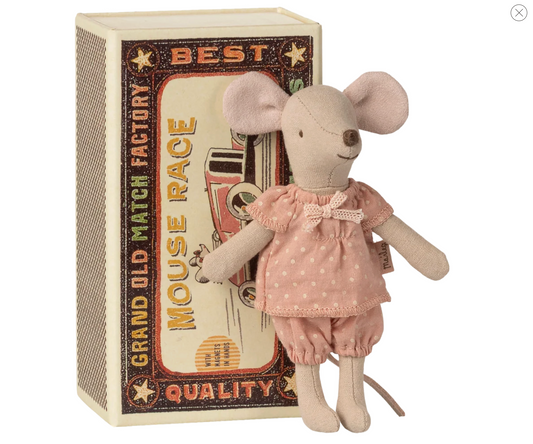 Big sister mouse in matchbox