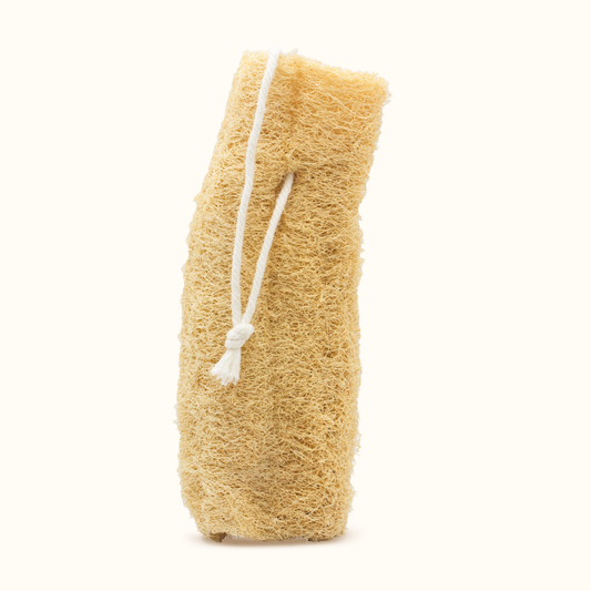 Central coast Luffa