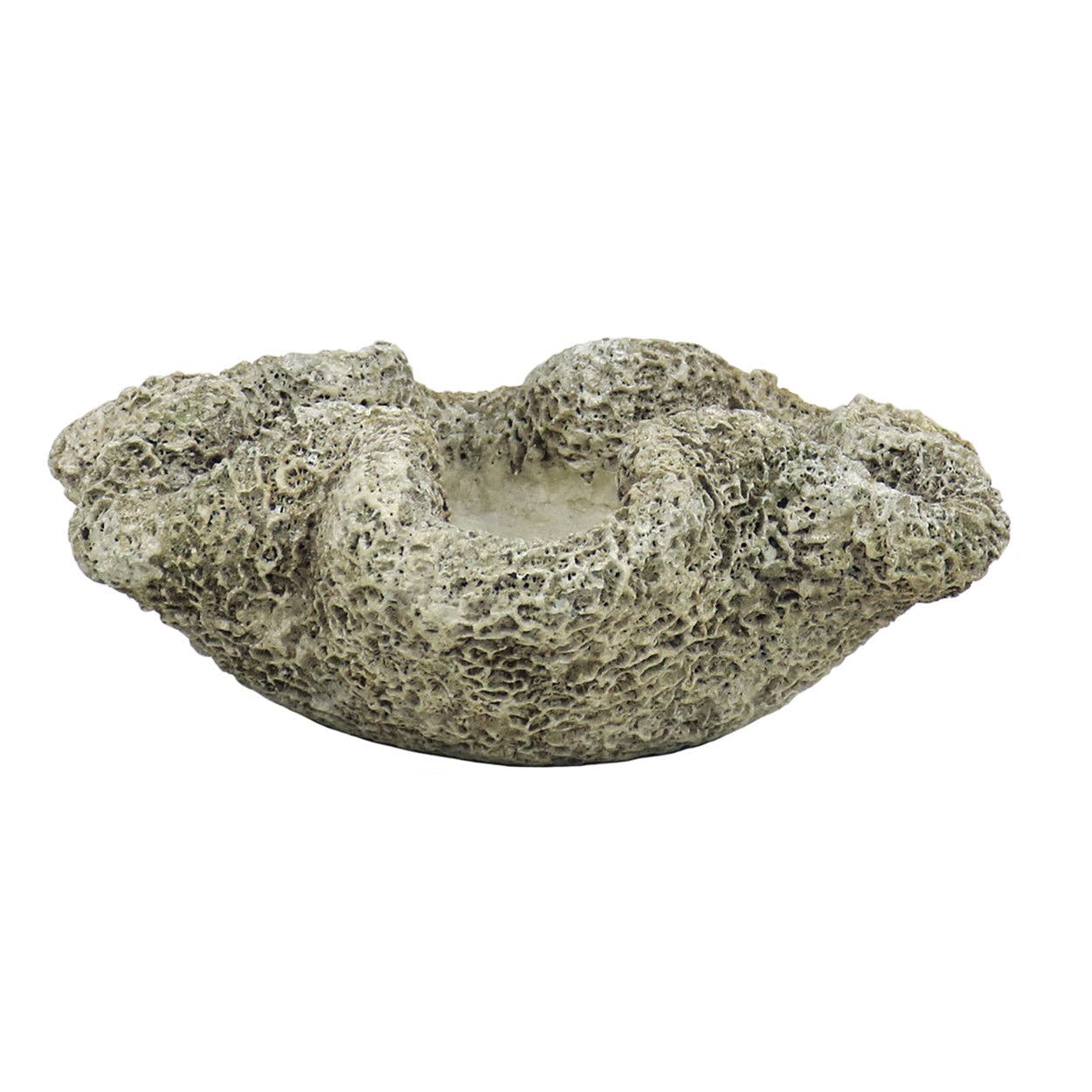 Cast Concrete Coral Planter: Long